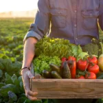 Veggies-GettyImages-870915532_vp1